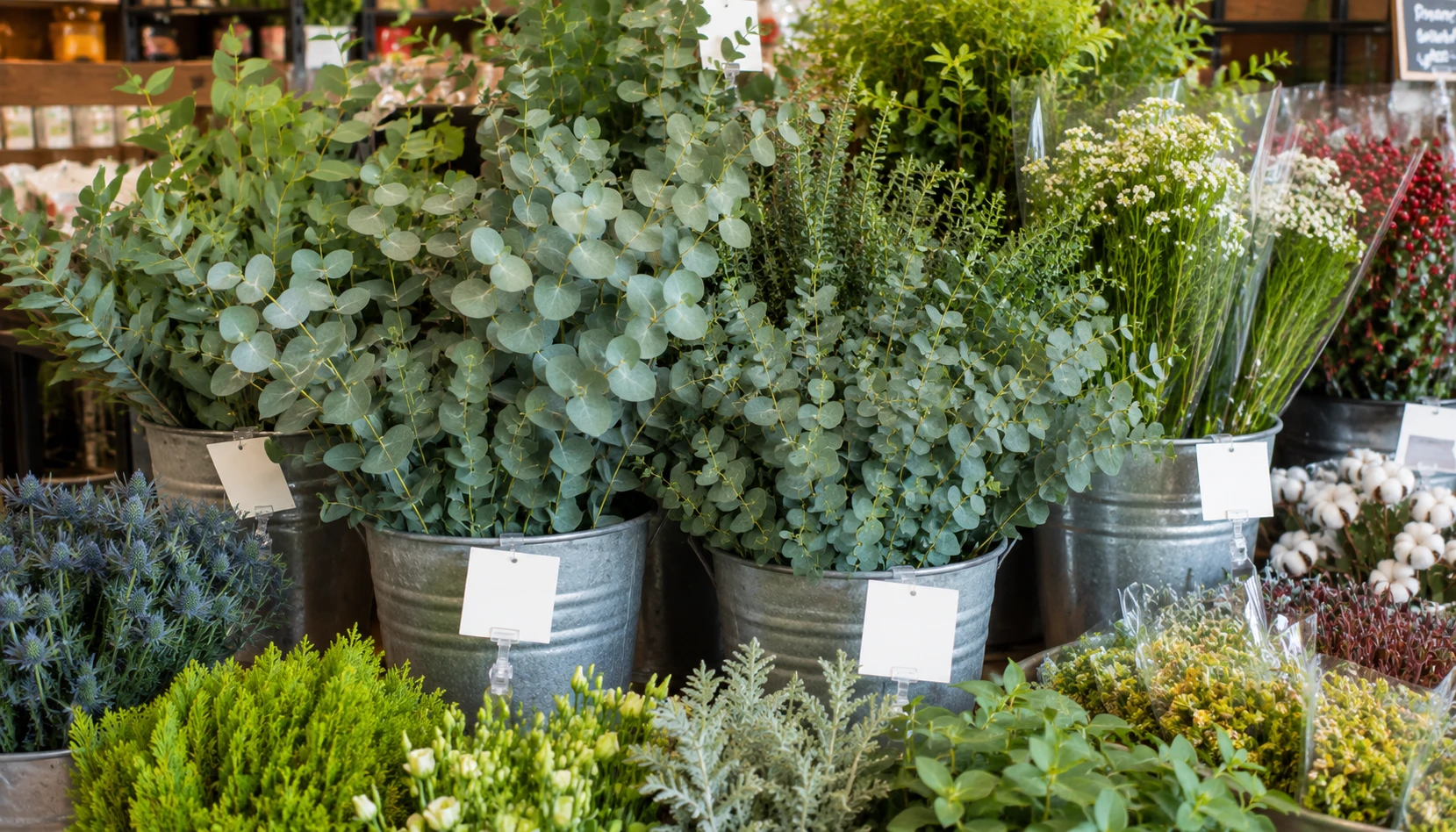 Fresh eucalyptus bunches for sale at a grocery store floral section